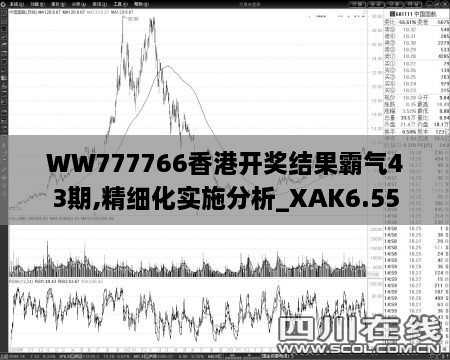 WW777766香港开奖结果霸气43期,精细化实施分析_XAK6.55