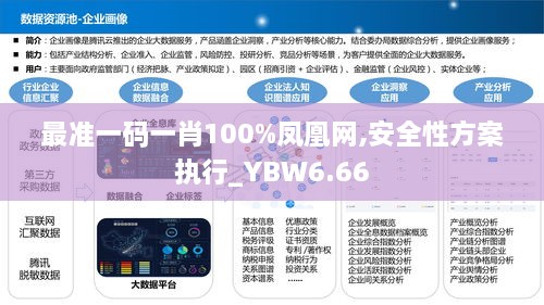 最准一码一肖100%凤凰网,安全性方案执行_YBW6.66