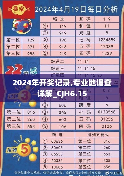 2024年开奖记录,专业地调查详解_CJH6.15