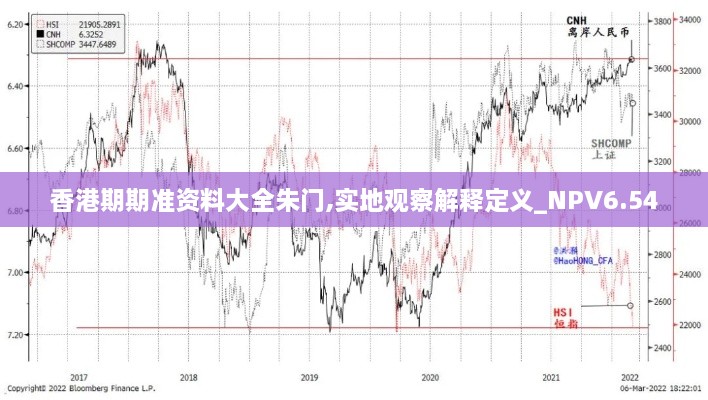 香港期期准资料大全朱门,实地观察解释定义_NPV6.54