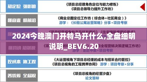 2024今晚澳门开特马开什么,全盘细明说明_BEV6.20