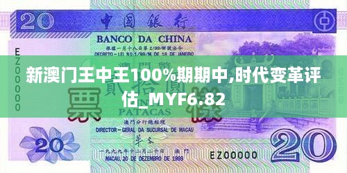 新澳门王中王100%期期中,时代变革评估_MYF6.82