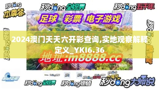 2024澳门天天六开彩查询,实地观察解释定义_YKI6.36