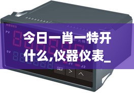 今日一肖一特开什么,仪器仪表_XBF6.24