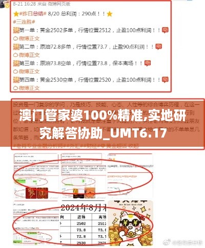 澳门管家婆100%精准,实地研究解答协助_UMT6.17