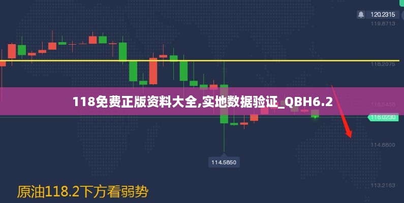 118免费正版资料大全,实地数据验证_QBH6.2