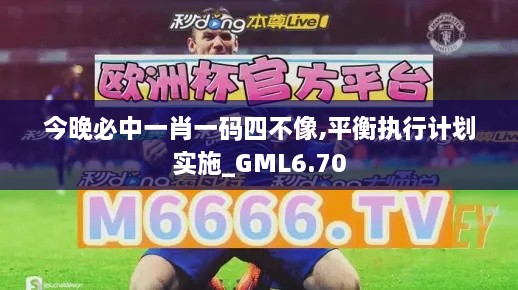 今晚必中一肖一码四不像,平衡执行计划实施_GML6.70