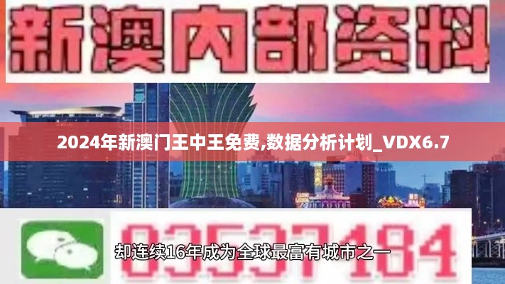 2024年新澳门王中王免费,数据分析计划_VDX6.7