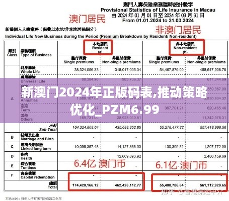 新澳门2024年正版码表,推动策略优化_PZM6.99