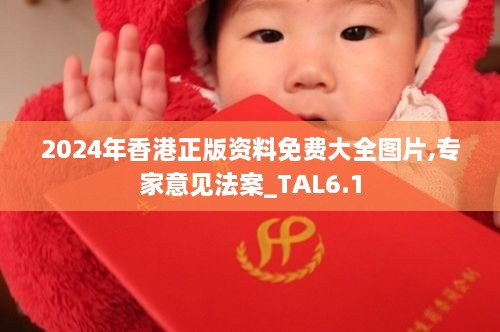 2024年香港正版资料免费大全图片,专家意见法案_TAL6.1