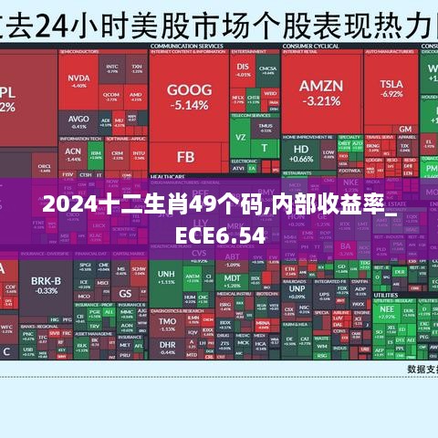 2024十二生肖49个码,内部收益率_ECE6.54