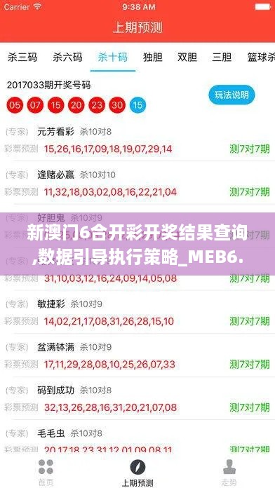 新澳门6合开彩开奖结果查询,数据引导执行策略_MEB6.84