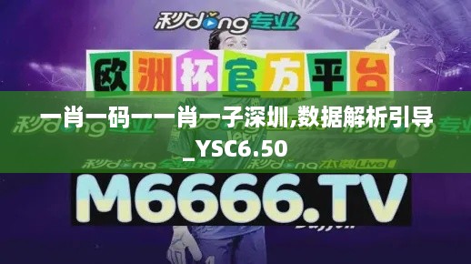 一肖一码一一肖一子深圳,数据解析引导_YSC6.50