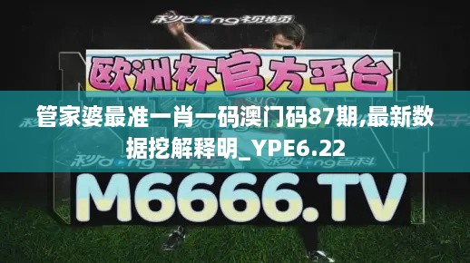 管家婆最准一肖一码澳门码87期,最新数据挖解释明_YPE6.22