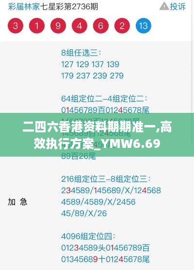 二四六香港资料期期准一,高效执行方案_YMW6.69