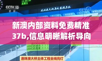 新澳内部资料免费精准37b,信息明晰解析导向_KHF6.89