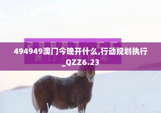 494949澳门今晚开什么,行动规划执行_QZZ6.23