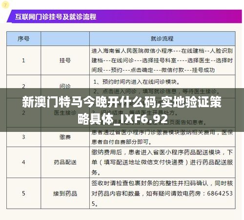 新澳门特马今晚开什么码,实地验证策略具体_IXF6.92