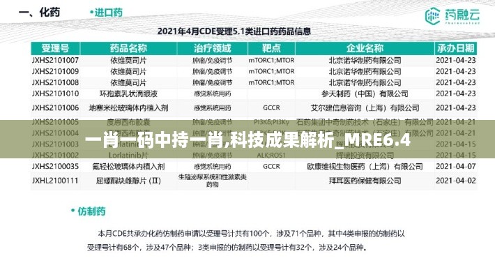 一肖一码中持一肖,科技成果解析_MRE6.4