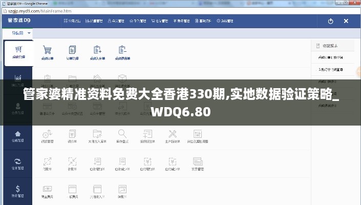 管家婆精准资料免费大全香港330期,实地数据验证策略_WDQ6.80