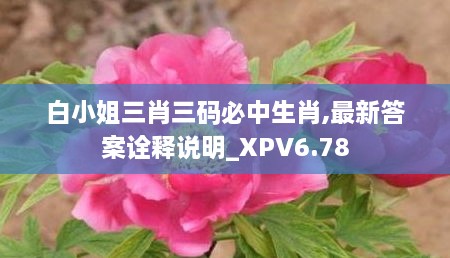 白小姐三肖三码必中生肖,最新答案诠释说明_XPV6.78