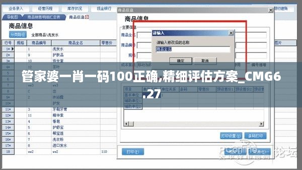 管家婆一肖一码100正确,精细评估方案_CMG6.27