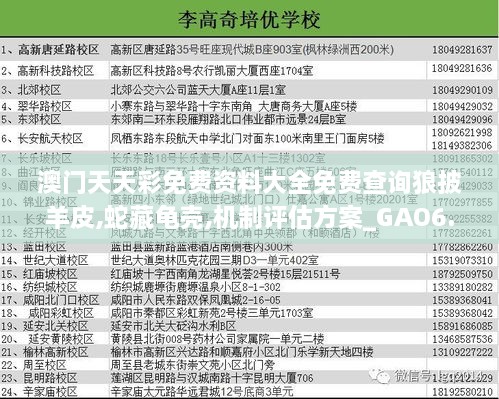 澳门天天彩免费资料大全免费查询狼披羊皮,蛇藏龟壳,机制评估方案_GAO6.25