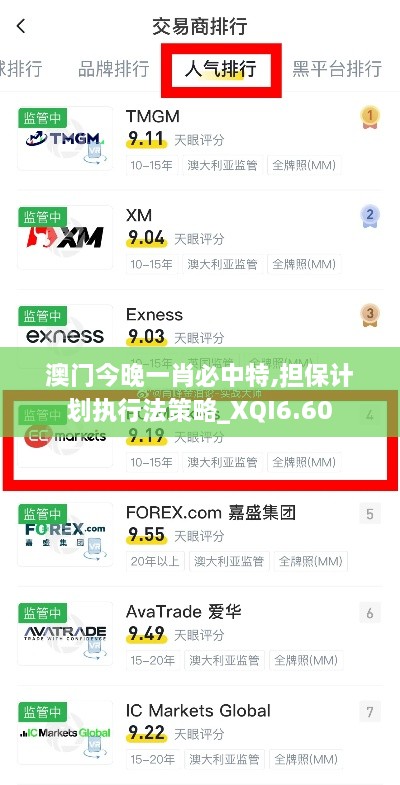 澳门今晚一肖必中特,担保计划执行法策略_XQI6.60