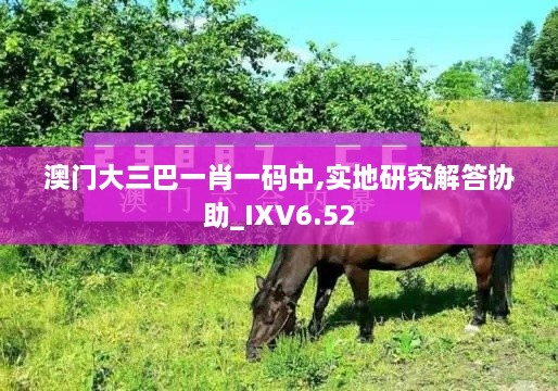 澳门大三巴一肖一码中,实地研究解答协助_IXV6.52