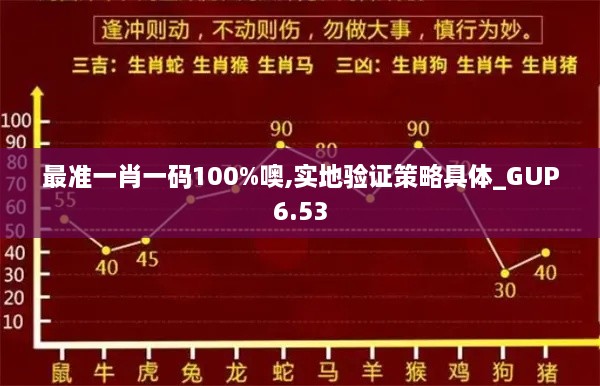 最准一肖一码100%噢,实地验证策略具体_GUP6.53