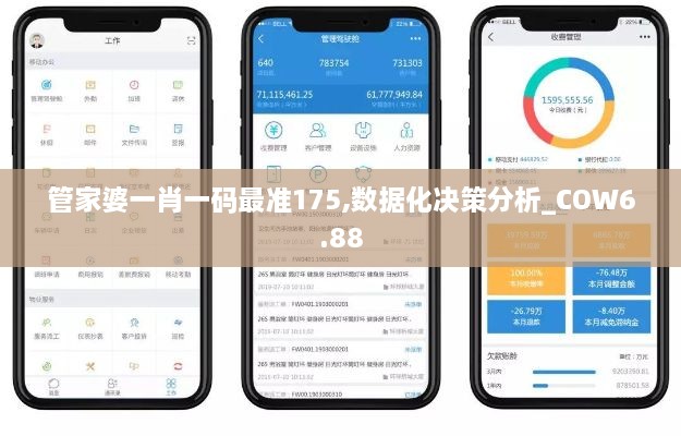 管家婆一肖一码最准175,数据化决策分析_COW6.88