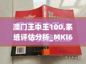 澳门王中王100,系统评估分析_MKI6.41