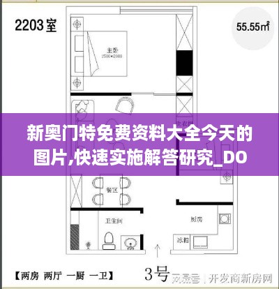 新奥门特免费资料大全今天的图片,快速实施解答研究_DOK6.50