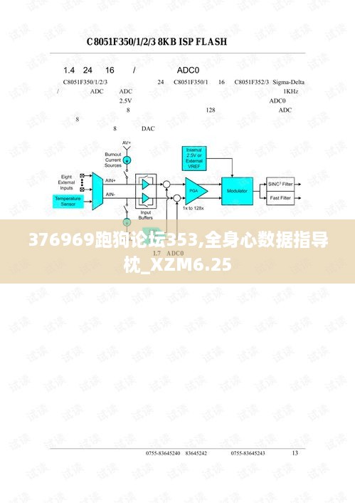 376969跑狗论坛353,全身心数据指导枕_XZM6.25