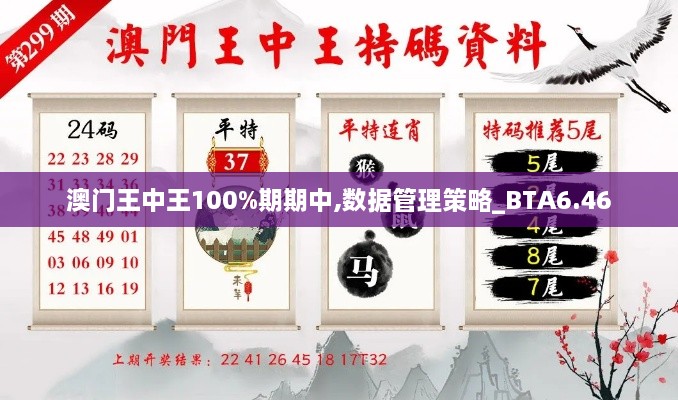 澳门王中王100%期期中,数据管理策略_BTA6.46