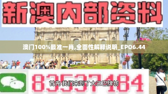 澳门100%最准一肖,全面性解释说明_EPO6.44