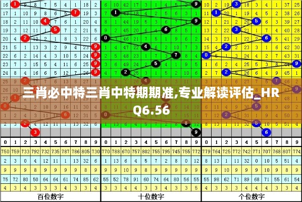 三肖必中特三肖中特期期准,专业解读评估_HRQ6.56