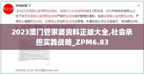 2023澳门管家婆资料正版大全,社会承担实践战略_ZPM6.83