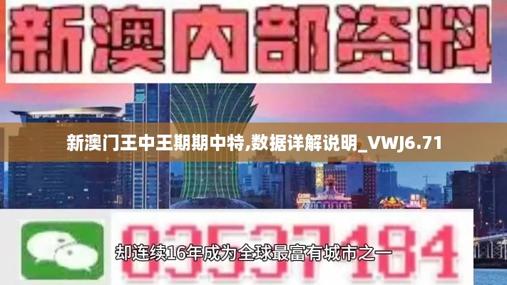 新澳门王中王期期中特,数据详解说明_VWJ6.71