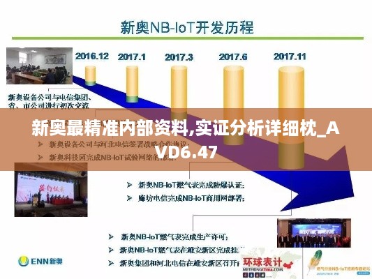 新奥最精准内部资料,实证分析详细枕_AVD6.47