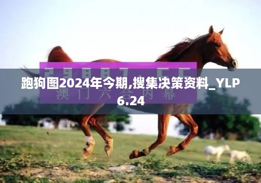 跑狗图2024年今期,搜集决策资料_YLP6.24