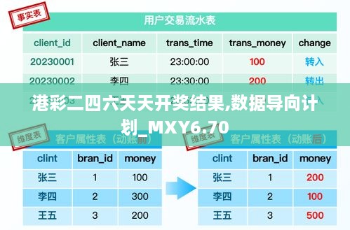 港彩二四六天天开奖结果,数据导向计划_MXY6.70