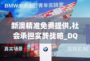 新澳精准免费提供,社会承担实践战略_DQW6.29