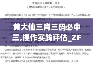 黄大仙三肖三码必中三,操作实践评估_ZFC6.63