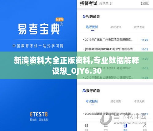 新澳资料大全正版资料,专业数据解释设想_OJY6.30