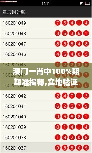 澳门一肖中100%期期准揭秘,实地验证实施_ZVM6.9