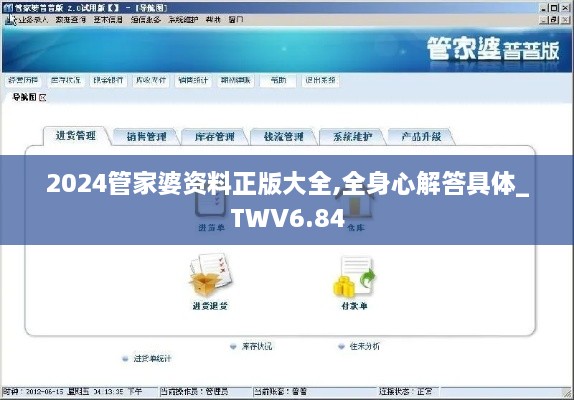 2024管家婆资料正版大全,全身心解答具体_TWV6.84