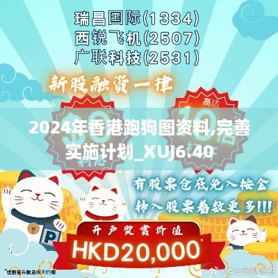 2024年香港跑狗图资料,完善实施计划_XUJ6.40