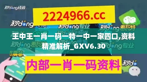 王中王一肖一码一特一中一家四口,资料精准解析_GXV6.30