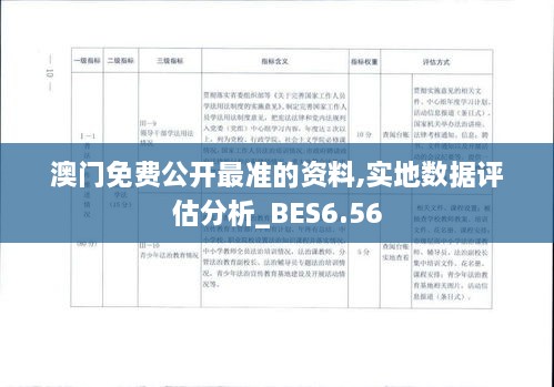 澳门免费公开最准的资料,实地数据评估分析_BES6.56